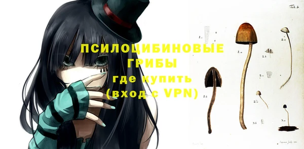 хмурый Алексин