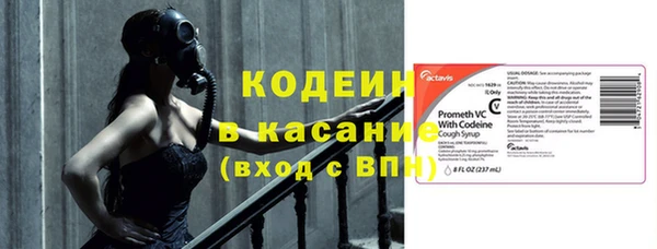 хмурый Алексин