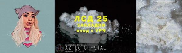 хмурый Алексин