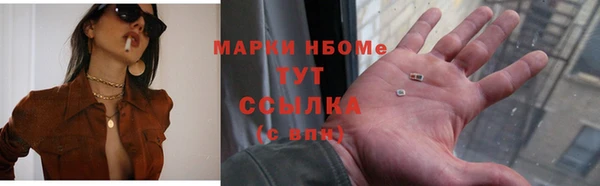 хмурый Алексин