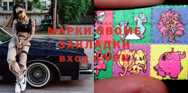 хмурый Алексин