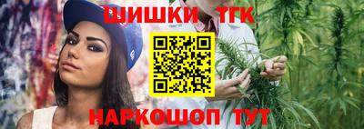 дживик Камышлов