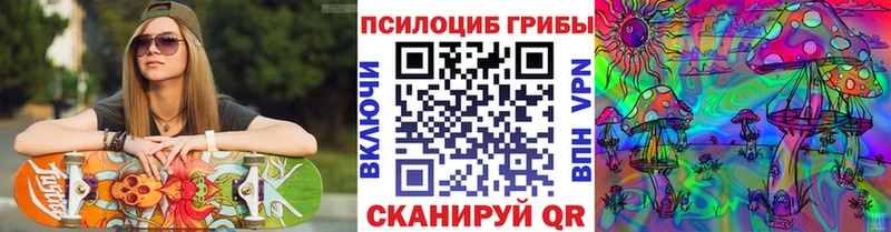 Псилоцибиновые грибы Cubensis  дарнет шоп  Междуреченск 