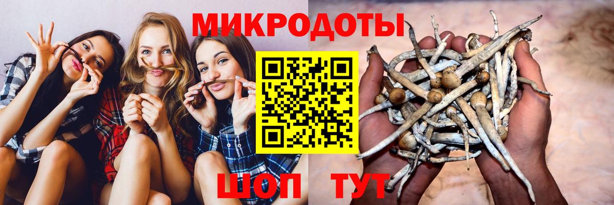 Междуреченск  Галлюциногенные грибы Cubensis  Галлюциногенные грибы мицелий  Вход с VPN 