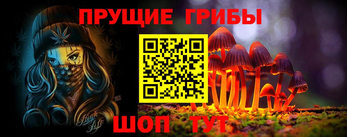 Псилоцибиновые грибы GOLDEN TEACHER Междуреченск
